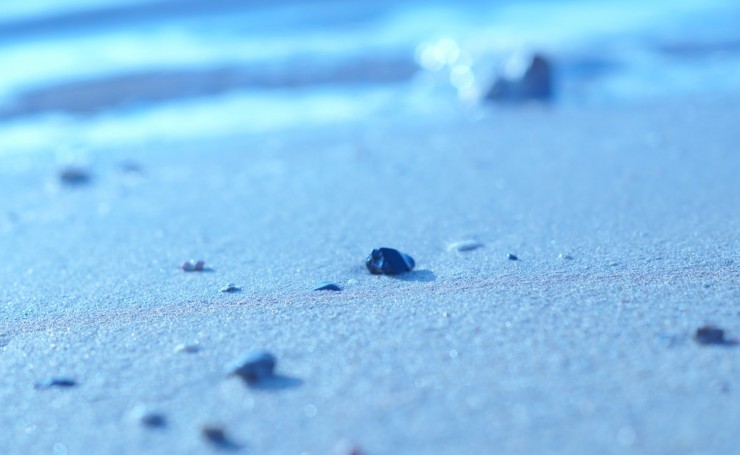 Песчинки на пляже крупным планом