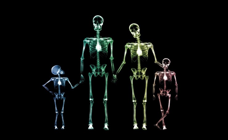 Семья скелетов