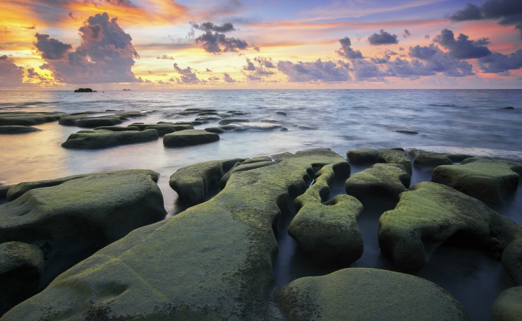 Зеленые камни на берегу моря