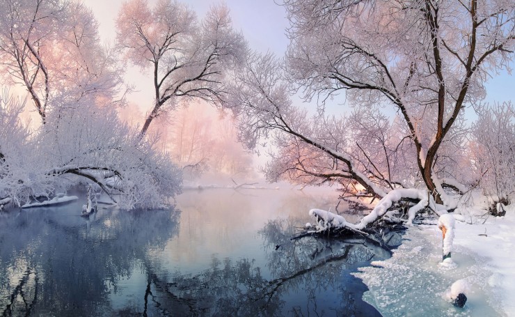 Зимний пейзаж, река и нависшие деревья