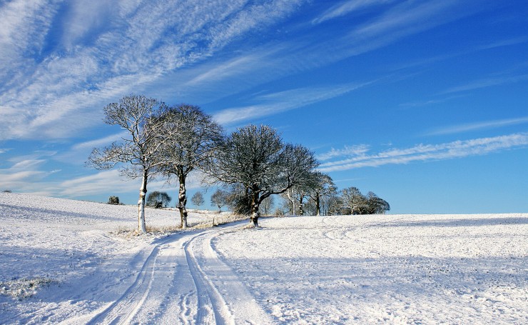 Зимняя дорога через поле