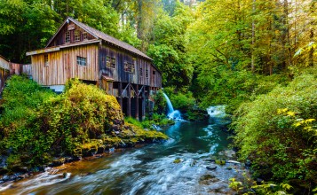 Деревянная водяная мельница в зеленом лесу