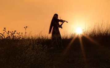 Девушка со скрипкой в поле на закате