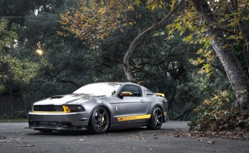 Ford Mustang GT Chicane