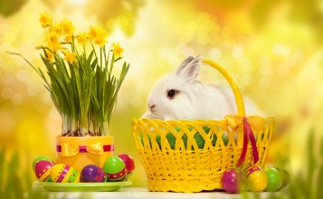 Кролик в корзинке и пасхальные яйца