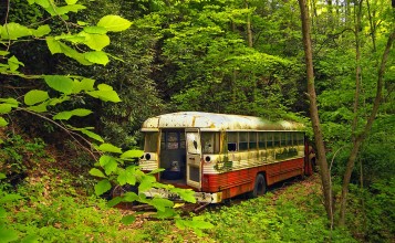 Старый автобус в лесу