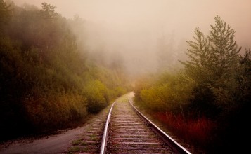 Железная дорога между кустов и деревьев уходит в туман