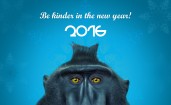 2016 и обезьяна