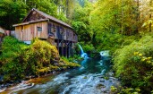Деревянная водяная мельница в зеленом лесу