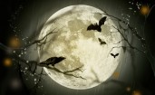 Летучие мыши на фоне луны