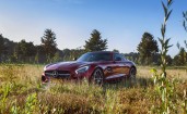 Mercedes-AMG GT в поле