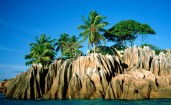 Пальмы на горе, Сейшельские Острова
