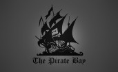 Серый логотип The Pirate Bay