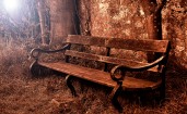 Старая скамейка в лесу