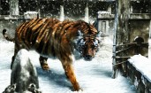 Тигр на снегу, арт