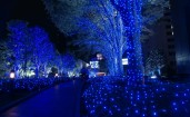 Токио перед Рождеством