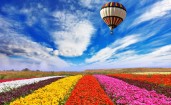 Воздушный шар над полем с цветами