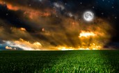 Зеленое поле, ночь, луна