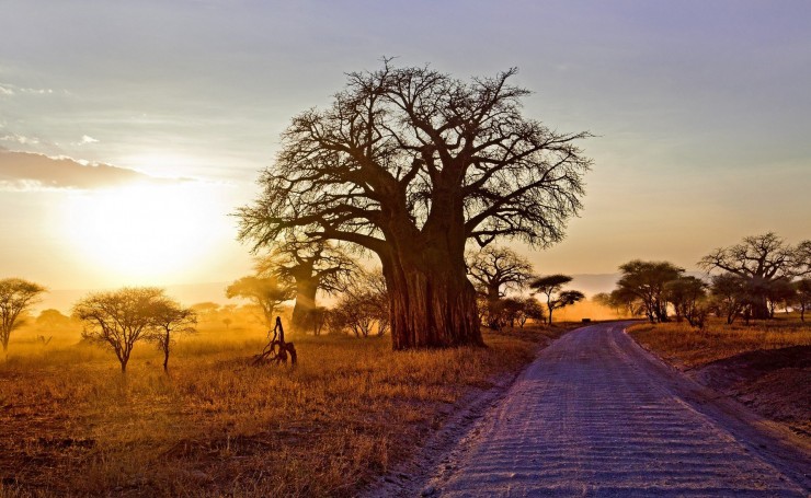 Дорога в Африке на закате