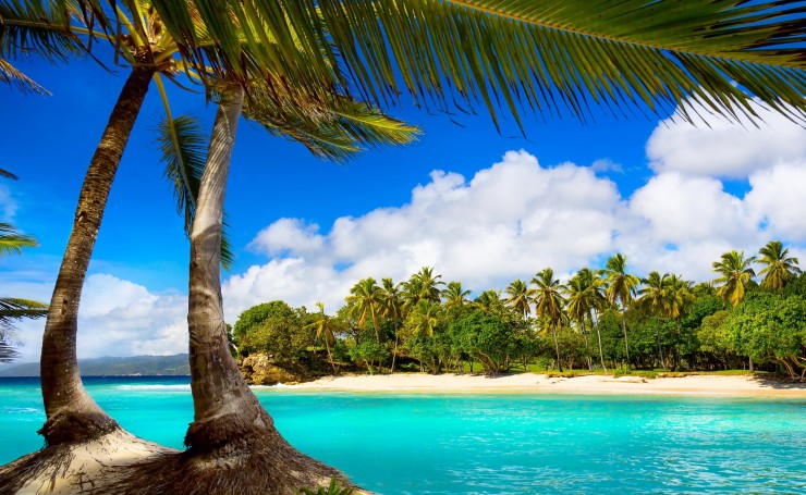 Экзотический пляж с пальмами
