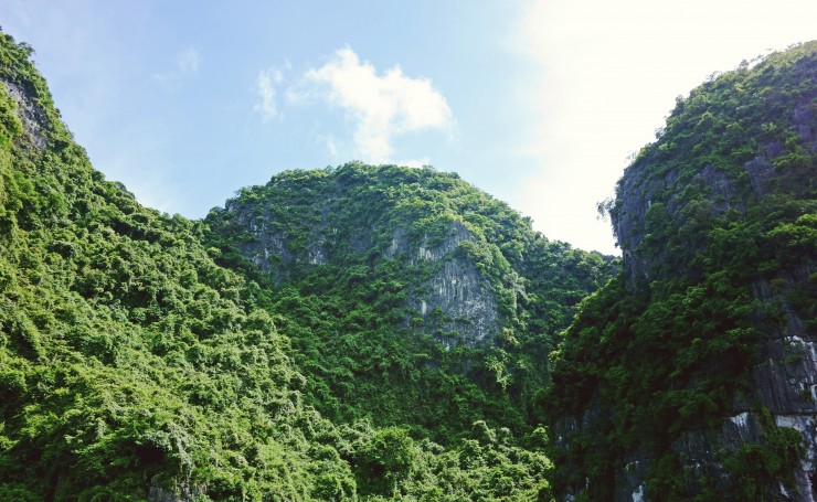 Горы покрытые зеленью