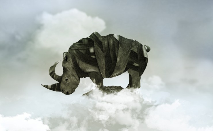Носорог в облаках