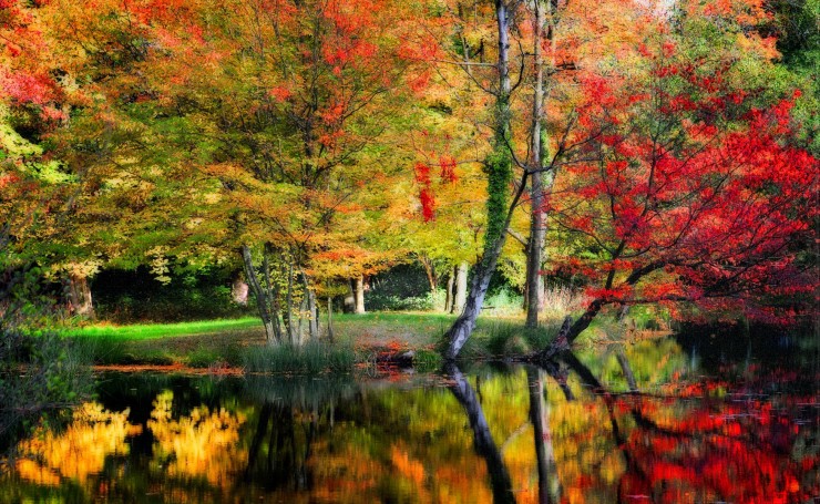 Отражение осенних деревьев в озере