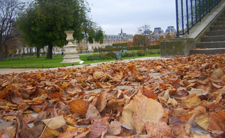 Париж. Листья