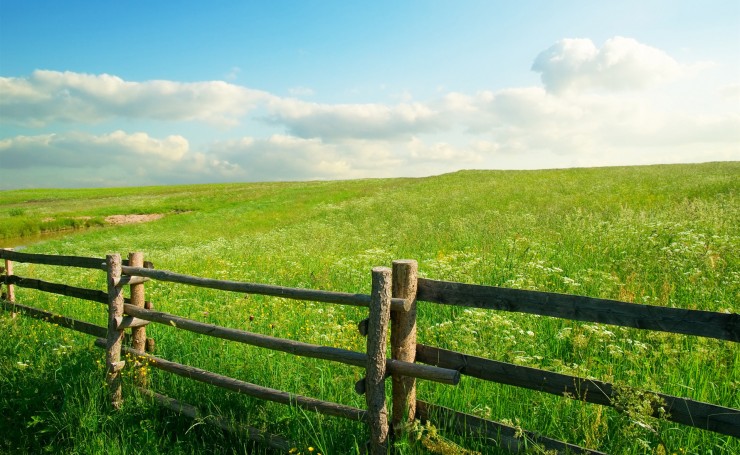 Забор в зеленом поле