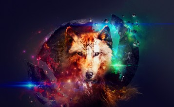 Абстрактный портрет волка
