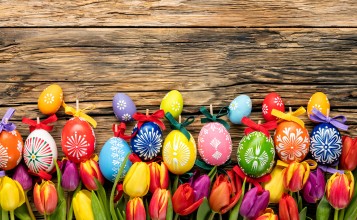 Цветные яйца и тюльпаны