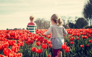 Дети в поле тюльпанов