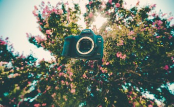 Фотоаппарат Canon на фоне цветущего куста