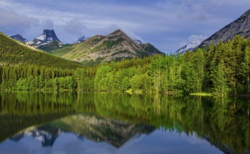 Красивый весенний пейзаж