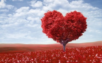 Красное дерево в форме сердца