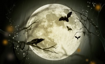 Летучие мыши на фоне луны
