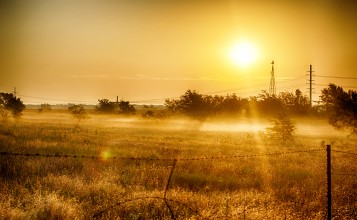 Лучи утреннего солнца