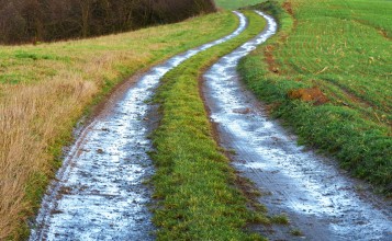 Мокрая сельская дорога в поле
