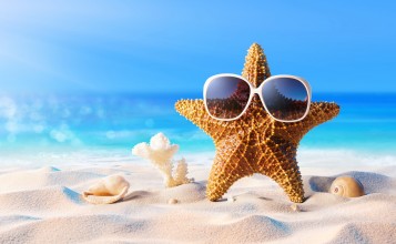 Морская звезда в очках на пляже