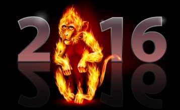 Огненная обезьяна 2016