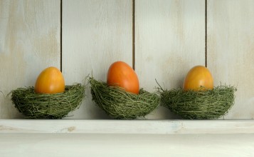 Оранжевые яйца в гнездах