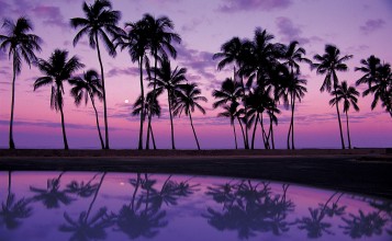 Пальмы на фоне фиолетового неба