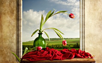 Пара тюльпанов в вазе