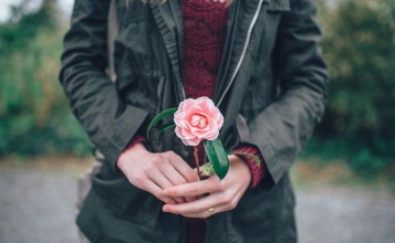 Розовый цветок в руках