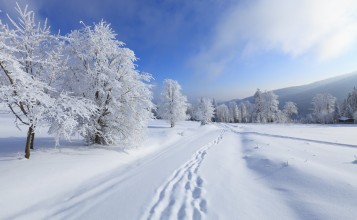 Следы на снегу