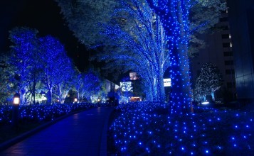 Токио перед Рождеством