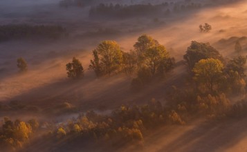 Туман в солнечных лучах