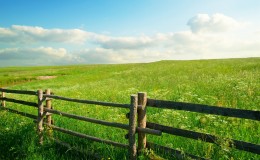 Забор в зеленом поле