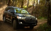 2016 Toyota Land Cruiser в лесу