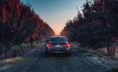BMW M3 между деревьев, вид сзади